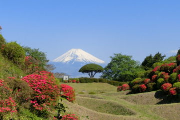 山中城跡公園 | 三島市観光Web