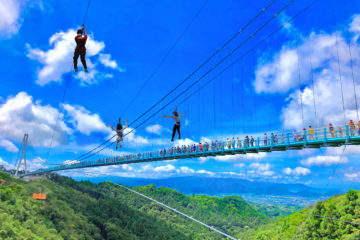 令和元年7月リニューアルOPEN！三島スカイウォーク注目の新エリア2選