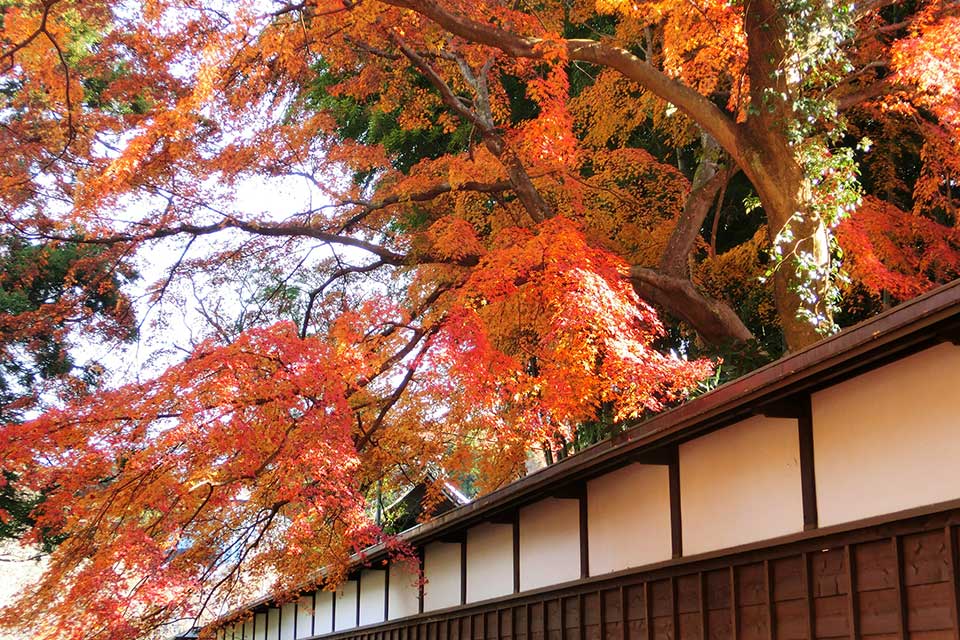 玉澤妙法華寺