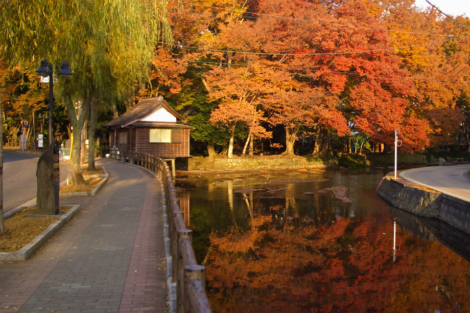 白滝公園 紅葉