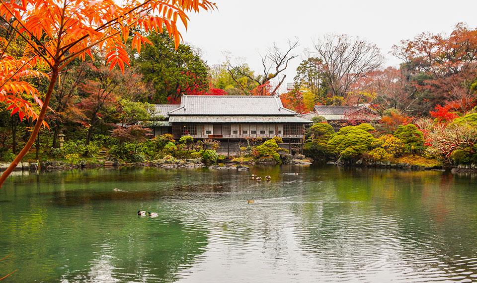 楽寿園 楽寿館 小浜池紅葉