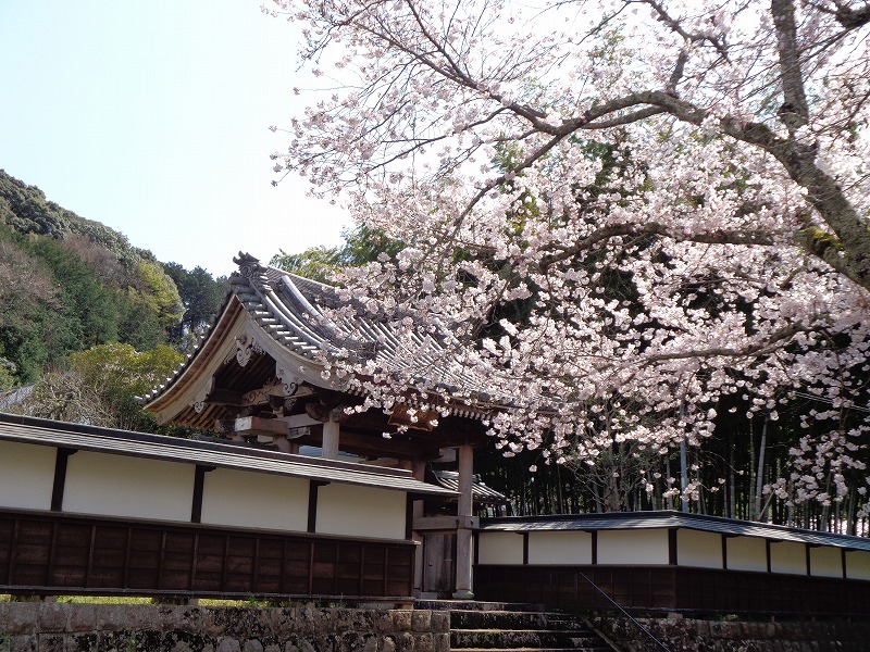 玉澤妙法華寺