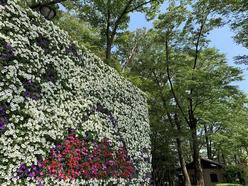 みしま花のまちフェア　ガーデンシティみしま 白滝公園