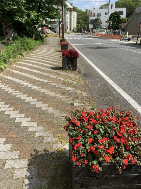 プランター　花のまちフェア　花飾り