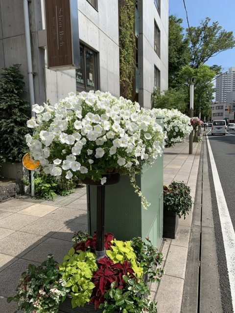 花のまちフェア　ガーデンシティ　ハンギングバスケット　花飾り