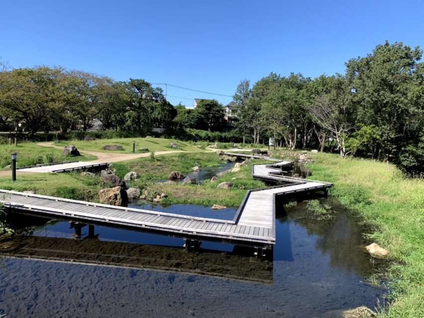 境川・清住緑地　三島市　清水町