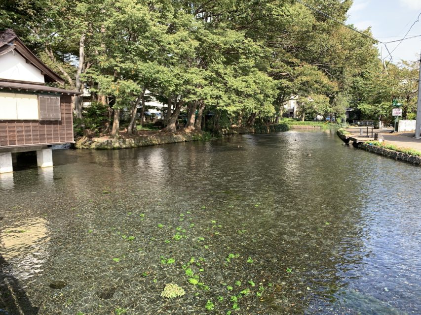 桜川　三島市