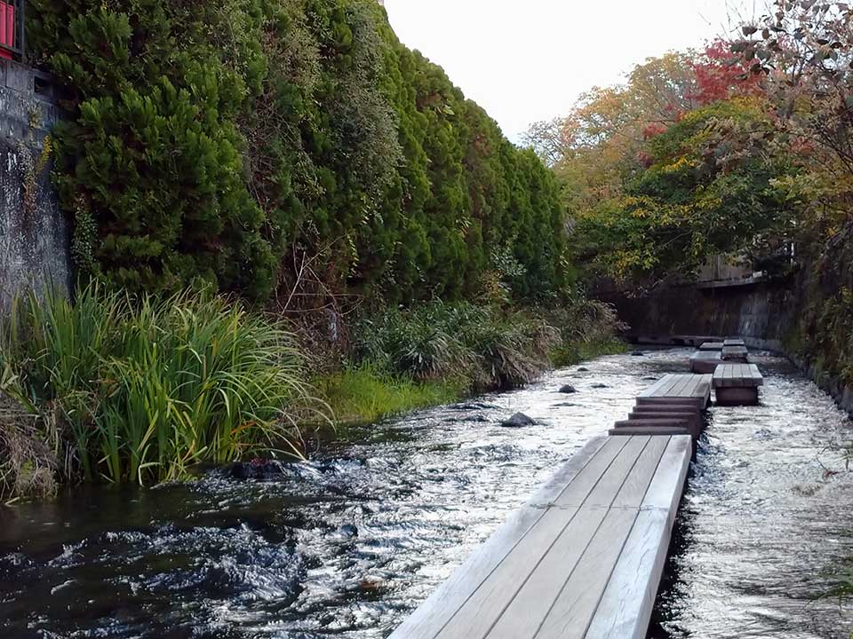 源兵衛川（源兵衛橋）