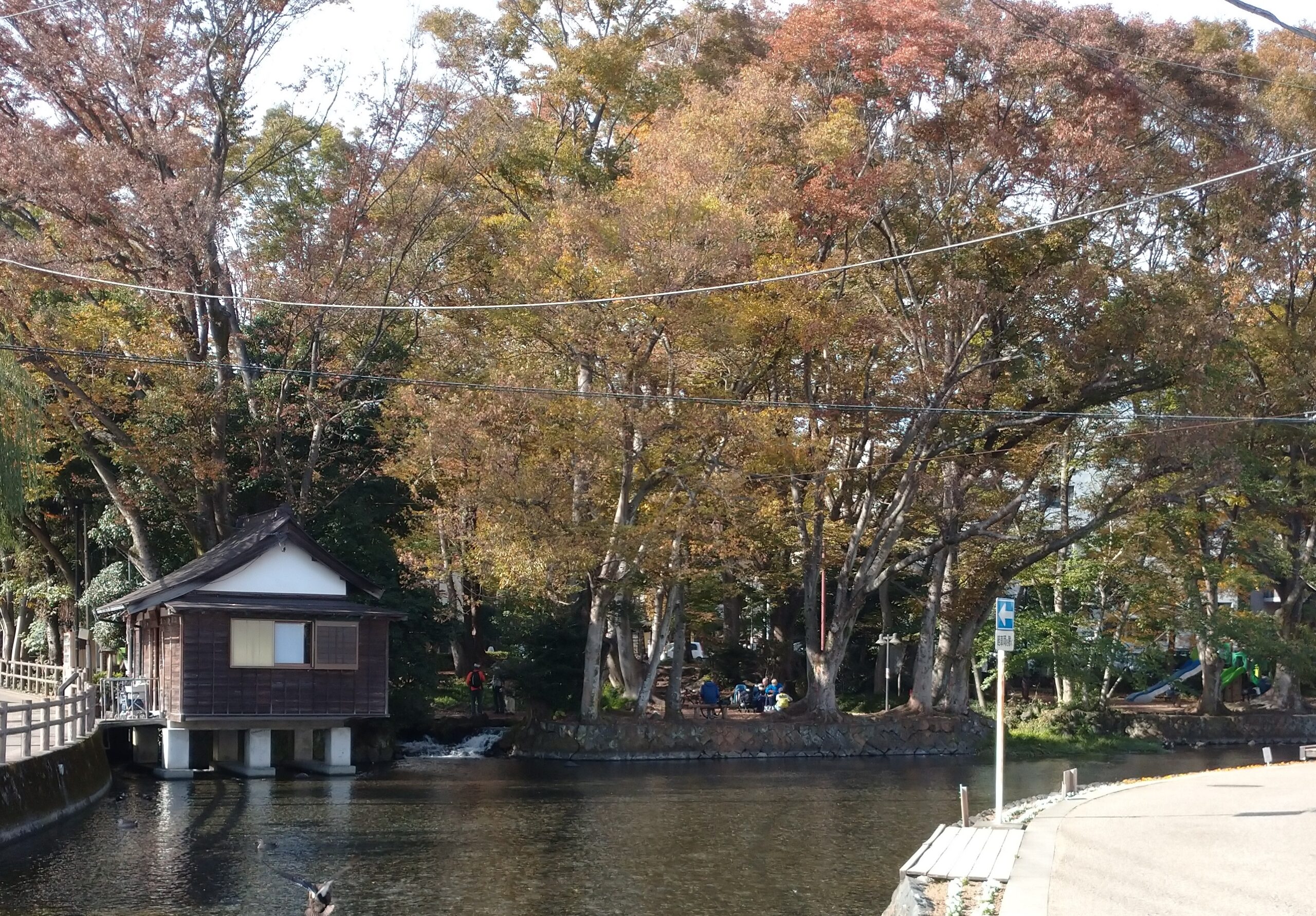 が ん ね 白滝 公園