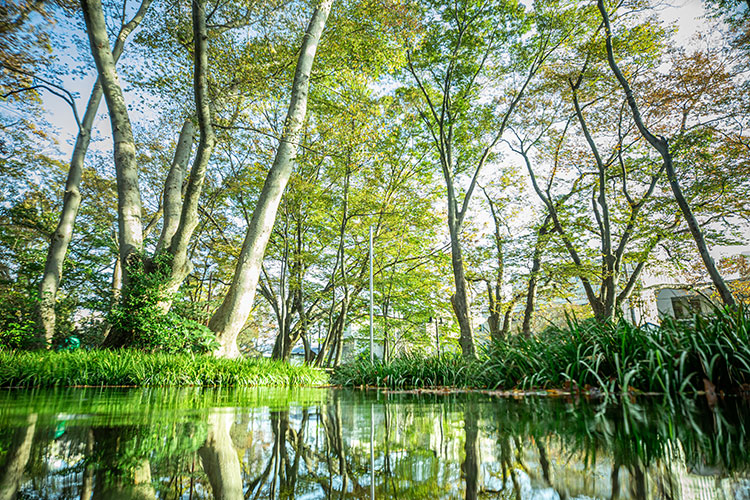 白滝公園