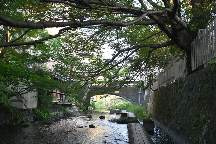 水辺の散歩道