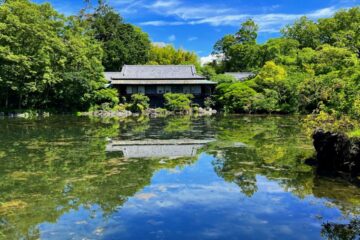 2023年）楽寿園「小浜池」が満水です！～夏の三島市内散策のオススメ
