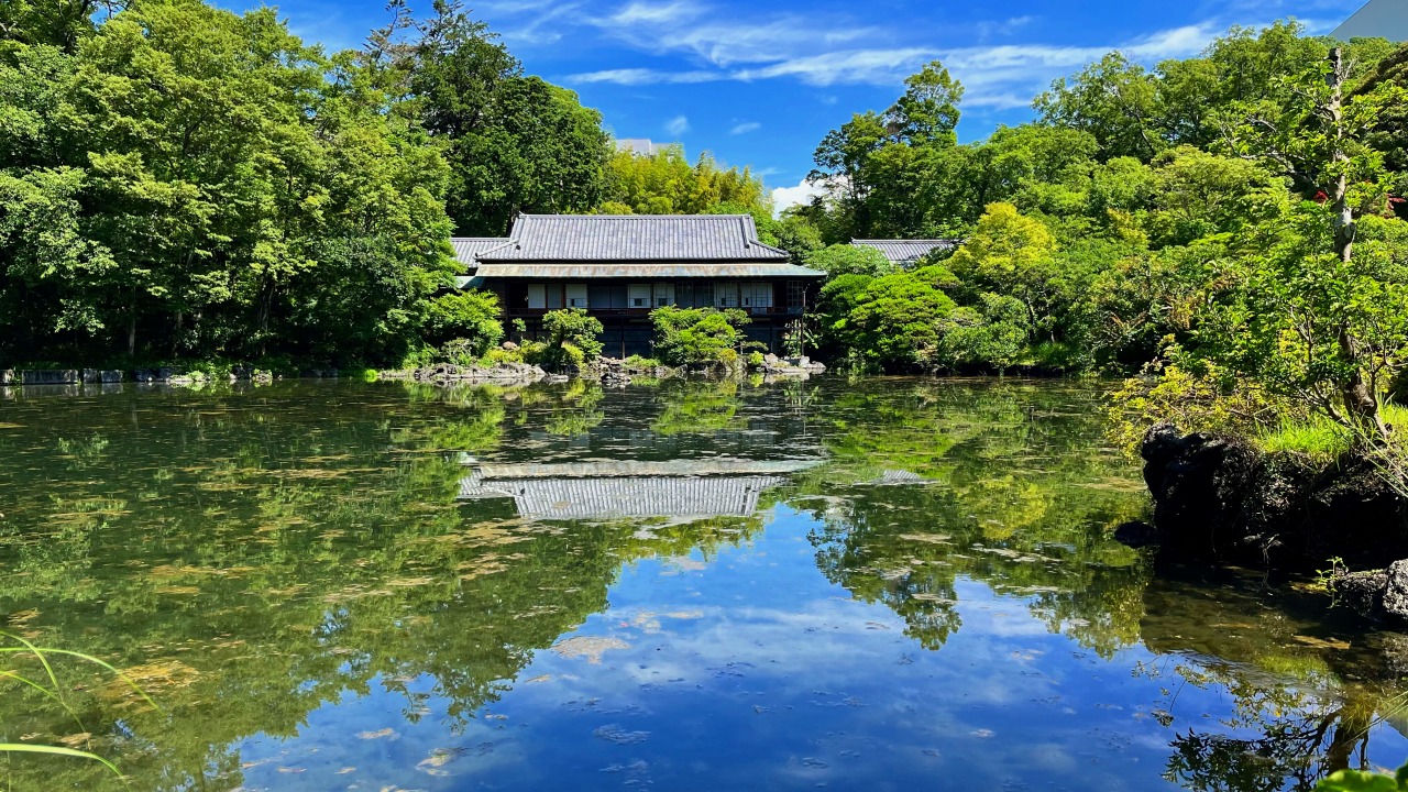 繁殖池 2023年）楽寿園「小浜池」が満水です！～夏の三島市内散策のオススメ