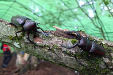 20240810_130054-1600x1200-1-