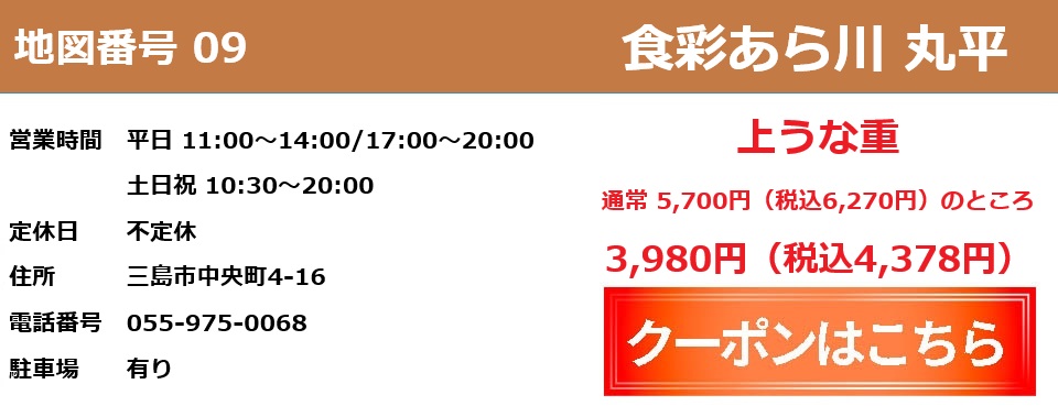 丸平クーポン券