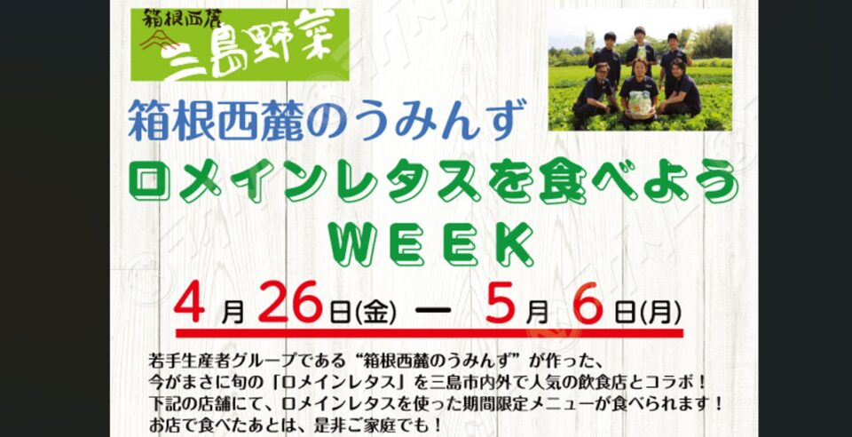 NHKでも紹介！旬を味わう「ロメインレタスを食べようWEEK」開催（4/26〜5/6）