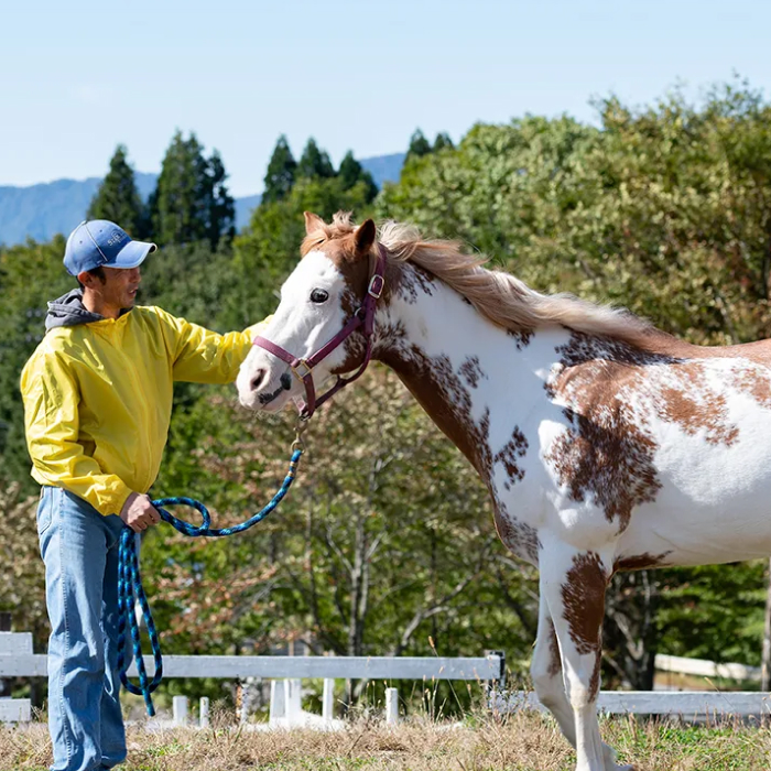 ひるがの高原 牧歌の里