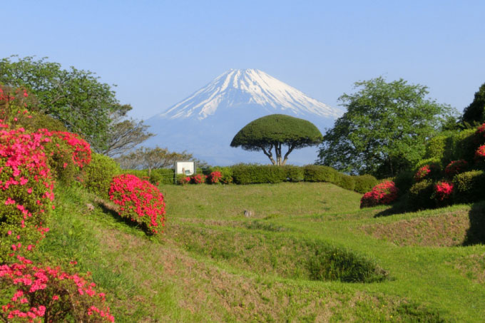 三島ってこんなところ